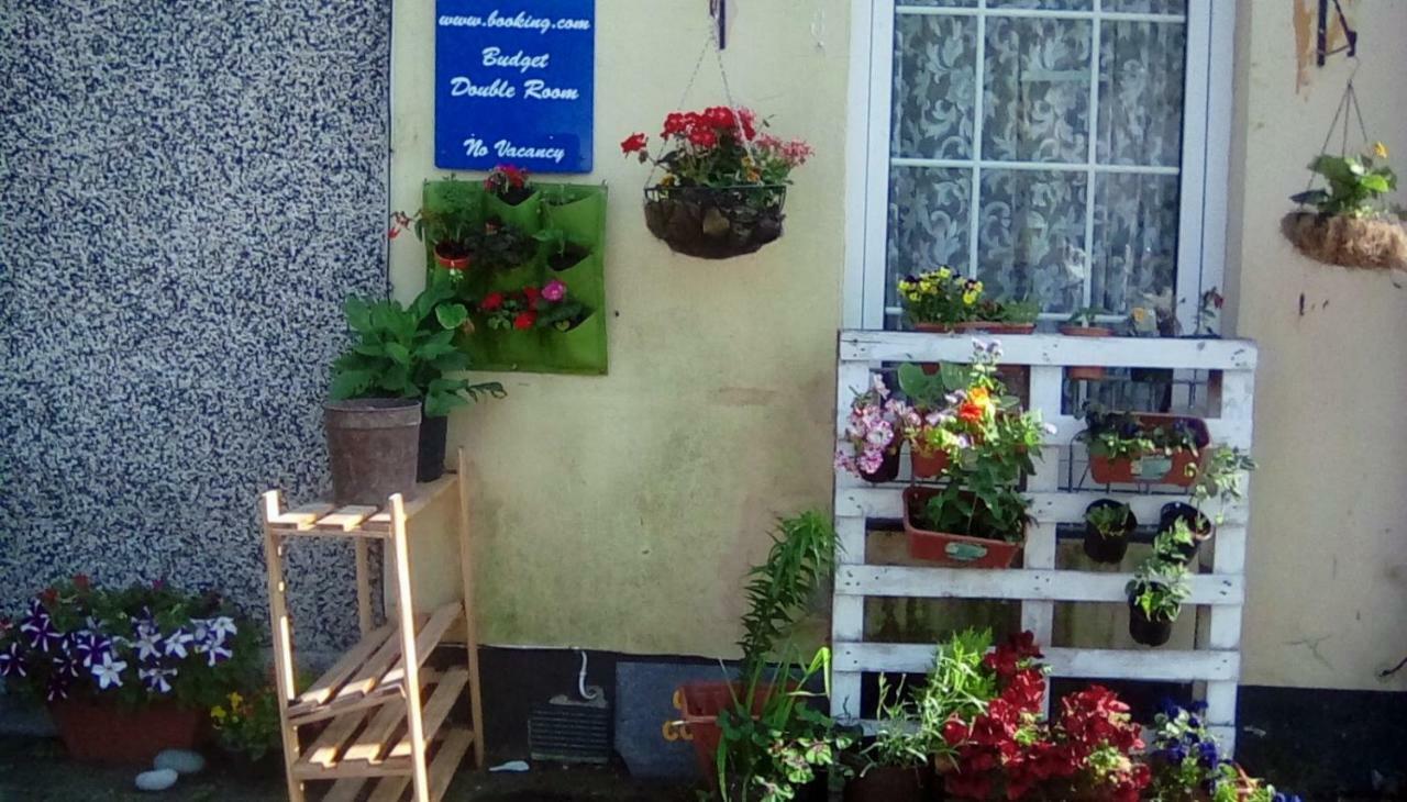 بلايموث City Cottage Guest House المظهر الخارجي الصورة